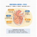 85%omega-3貓狗機能純魚油+日本CoQ10心臟營養60粒(單罐)